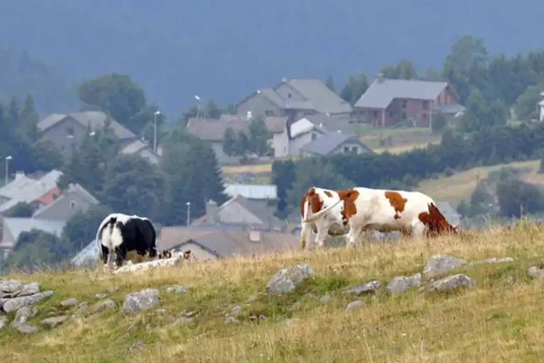 Le cadre autour du Francillon