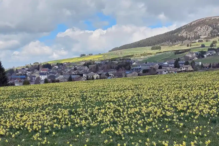 Le cadre autour du Francillon